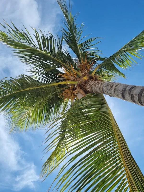 Curaçao Beach